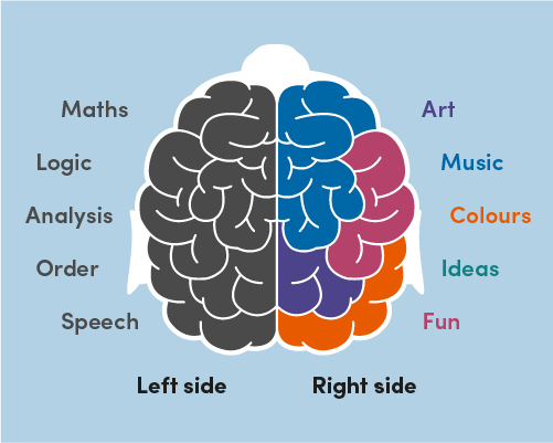 What does your dyslexic brain look like, anyway? | Dyslexia Scotland ...