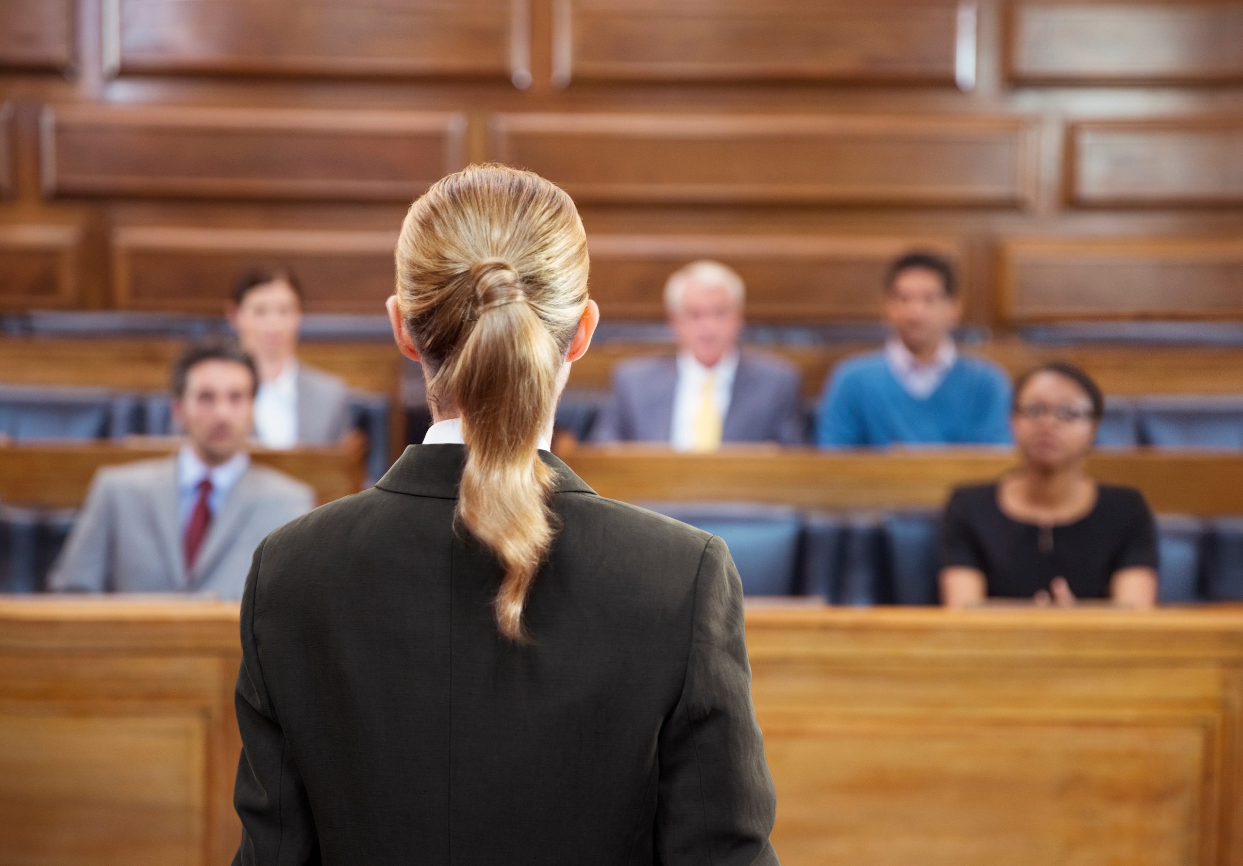 A court room scene - we see the back of a lawyer's head as she is turned to address the jury.