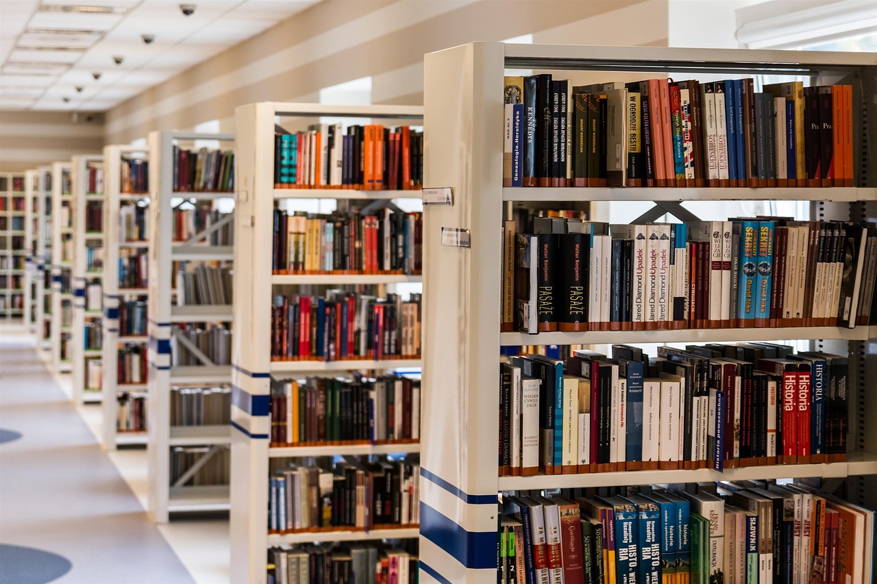An aisle of library shelves.